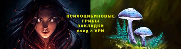 эйфоретик Алексин