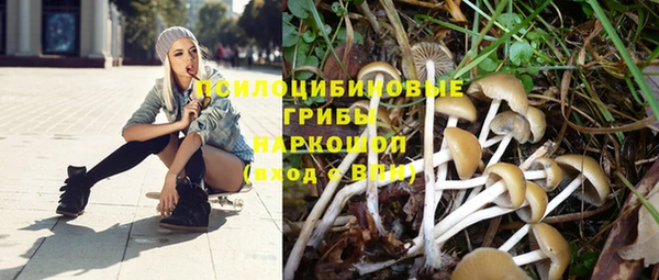 МДМА Алексеевка
