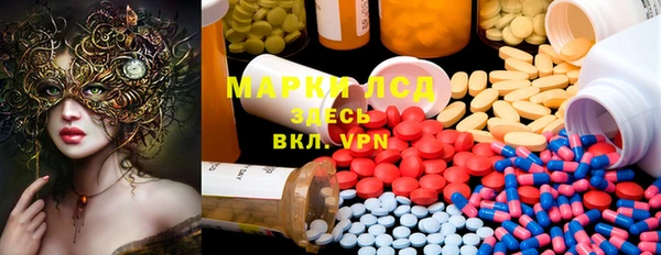 эйфоретик Покачи