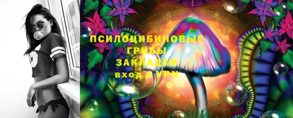 эйфоретик Алексин