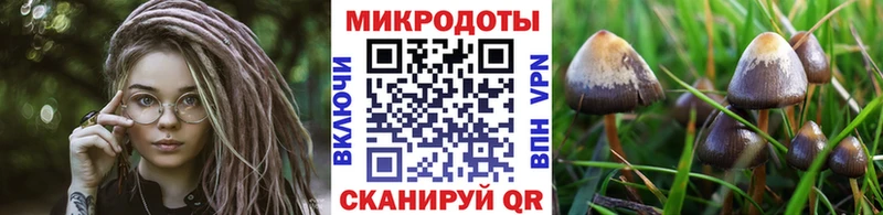 blacksprut ONION  купить закладку  Ленинск-Кузнецкий  Псилоцибиновые грибы Cubensis 